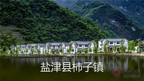 盐津县柿子镇